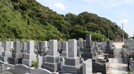 野崎霊園、善遠寺